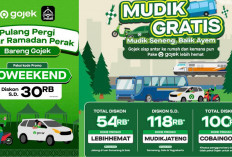 Mudik Gratis, 18 Kode Promo Gojek Hari ini 27 Maret 2025: Nikmati Diskon Spesial ada GoCar, GoRide dan GoFood