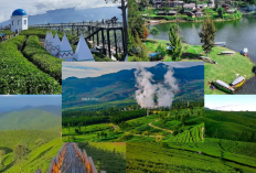 Pangalengan Bandung, Sekali Datang Dijamin Gak Mau Pulang! Surga Sejuk yang Bikin Nagih