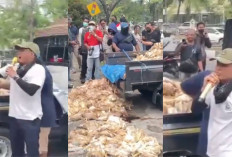 Peternak Ayam Kalteng Merugi Ratusan Juta Akibat Listrik Padam, Ancaman Demo Besar di Kantor PLN 