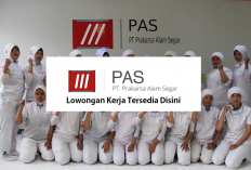 7 Posisi Sedang Buka Rekrutmen di PT Prakarsa Alam Segar Untuk Lulusan SMA/SMK dan S1, Daftar Disini