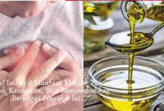 Wow! Inilah 6 Manfaat Minyak Zaitun untuk Kesehatan, Bisa Menyembuhkan Berbagai Penyakit Ini...