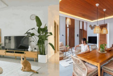 3 Ide Ruang Keluarga Modern yang Bikin Rumah Auto Cozy dan Instagramable!