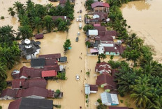 Update Korban Banjir dan Longsor Sumut: 166 Tewas dan 143 Orang Masih Dalam Proses Pencarian