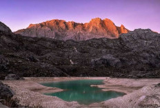 Takjub, 6 Situs Warisan Dunia UNESCO di Indonesia yang Wajib Dikunjungi, Apa Saja?