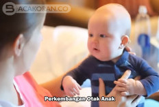 Mau Sikecil Cerdas Dan Pintar, Berikut 5 Tips Mengasah Perkembangan Otak Anak 