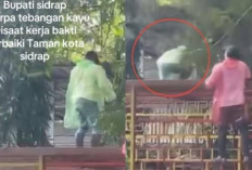 Bupati Sidrap Syahar Alami Insiden Tertimpa Pohon saat Kerja Bakti di Taman Kota, Pundak Alami Memar