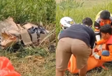 Geger di Gresik! Mayat Perempuan Terbungkus Kardus Ditemukan di Pinggir Jalan