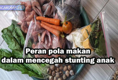 5 Manfaat Telur Puyuh, Ampuh Cegah Stunting pada Balita