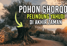 Kiamat Sudah Dekat! Yuk Kenali Ciri-ciri Pohon Gharqad yang Dijuluki Sebagai Pohon Yahudi, Apa Aja?