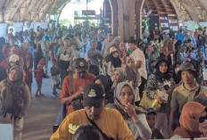 Wisatawan Antri Mengular Buru Tiket Solo Safari, Nikmati Libur Nataru, Ini Jumlah Pengunjungnya!