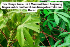 Tak Hanya Enak, Ini 7 Manfaat Daun Singkong Bagus untuk Ibu Hamil dan Mengatasi Tekanan Darah