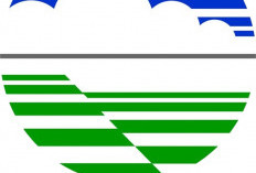 Berawan dan Hujan Ringan Menyelimuti Beberapa Kota, Berikut Prakiraan Cuaca BMKG hari Jumat
