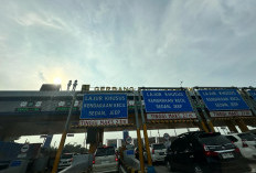 Catat! Ini ASN Yang Boleh WFH Dan Harus Tetap WFO Saat Arus Balik Lebaran 1445 H