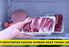 Tips Menyimpan Daging Kurban dengan Benar Agar Tidak Bau dan Tahan Lama, Dijamin Awet Lho Moms...