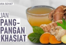 Rimpang Bukan Sekadar Bumbu, Ini 8 Manfaat Besar yang Sering Diremehkan