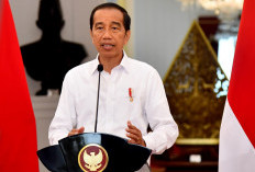 Presiden Jokowi Bakal Lantik 3 Wakil Menteri Baru Sore Ini, 2 dari Gerindra, Siapa Saja?