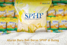 Begini Aturan Baru Bulog Beli Beras SPHP  untuk Hindari Pengoplosan!