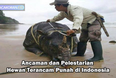 Ulah Manusia, Berikut 7 Hewan Terancam Punah.