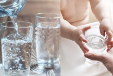 Wajib Tahu! Ini 6 Cara Cerdas Pilih Air Minum yang Aman Buat Bayi dan Keluarga