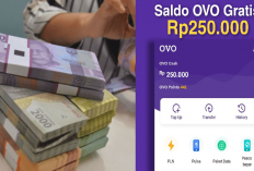 Berkah! 8 Penghasil Saldo OVO Gratis untuk Anak-anak yang Bisa dapat Uang Rp200 Ribu, Langsung Cobain Moms!