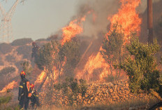 Panas Ekstrem dan Angin Kencang, Separuh Pulau di Negeri Para Dewa Nyaris Ludes Terbakar!
