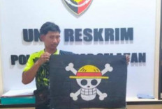 Viral! Pemuda di Muarojambi Diciduk Polisi Akibat Pasang Bendera One Piece di Mobil Pikap
