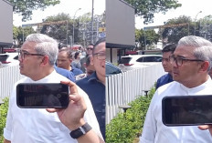 Geram Pohon Ditebang Sembarangan, Wali Kota Bandung Farhan: Saya Pidanakan Pemilik Lapangan Padel Ini