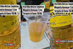 Bikin Geram, Viral Minyakita 1 Liter Tenyata Hanya 750ml, Mendag Berikan Respon Ini