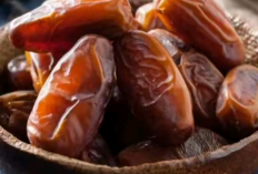 7 Khasiat Kurma yang Wajib Kamu Tahu! Dari Sukari, Ajwa, hingga Kurma Muda untuk Promil