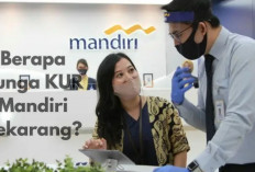 Berapa Bunga KUR Mandiri Sekarang? Panduan Lengkap Tarif, Syarat dan Tips Untuk UMKM
