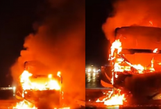 Ngeri! Bus Haryanto Ludes Terbakar di Tol Pemalang, 32 Penumpang Berhasil Diselamatkan