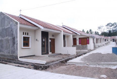 Rumah MBR Paling Diminati, Program Sejuta Rumah Tembus 896.121 Unit