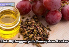 Jantung Sehat, Pikiran Cerdas dari Manfaat Luar Biasa Biji Anggur.