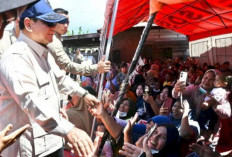 BSI Masih Tunggu Arahan OJK soal Hapus Buku KUR Petani Terdampak Bencana di Aceh dan Sumatera