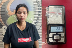 Antar Paket 'Garam Cina' ke Calon Pembeli, Ibu Muda Disergap Polisi