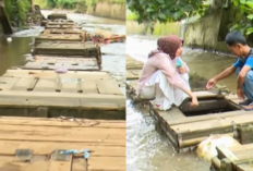Cerdas Budi Daya Ikan Hias di Keramba Sungai Bogor! Solusi Ramah Lingkungan dan Menguntungkan