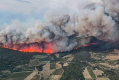 Kebakaran Terbesar dalam 8 Dekade, 15.000 Hektare Hutan di Prancis Ludes, Ini Pemicunya!