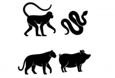 Awas Ciong! Shio Apa Saja yang Kurang Cocok? Cek Shio-mu!