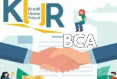 Simulasi KUR BCA 2025, Bunga 6 Persen & Cicilan Ringan untuk Modal Usaha