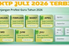 Update TPG Akhir Juli 2026 Jadwal Pencairan dan 5 Solusi Info GTK Masih Belum Valid