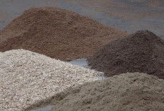 Info Ternak, 6 Bahan Comboran untuk Pakan Kambing yang Bernutrisi Tinggi, Peternak Pemula Cek Ini!