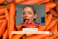 VIRAL Tren Tiktok Rajin Makan Wortel Bisa Ubah Warna Kulit Cek Fakta Selengkapnya Disini Jangan Percaya HOAX