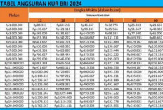 Butuh Dana 15-20 Juta Secara Online Pada KUR BRI? Yuk Penuhi Syarat dan Ketentuannya Disini…