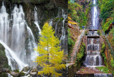 Air Terjun Tirtosari Magetan, Pesona Alam Eksotis yang Sarat Mitos dan Kepercayaan Lokal