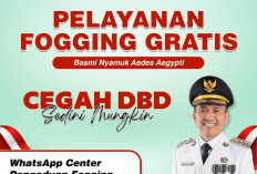 Marak Warga Menderita DBD, Kecamatan Gandus Galakkan Fogging Gratis, Ini Caranya! 