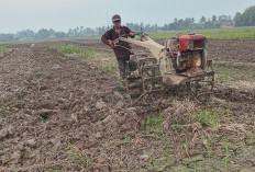 Musim Tanam Tiba,  Petanipun Was-was Pupuk Langka, Racun Hamapun Butuh Biaya