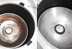 Solusi Praktis dan Hemat: Menghilangkan Kerak Rice Cooker dengan Barang Bekas
