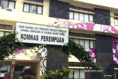 Gajinya Rp4-6 Juta! Komnas Perempuan Buka lowongan Kerja Posisi Staff IT, Ini Syarat dan Link Pendaftaran