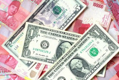 Dolar AS Kian Perkasa, Hajar Rupiah Tersungkur ke Rp16.291, Data Ekonomi Ini Jadi Pemicunya!
