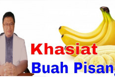 5 Manfaat Buah Pisang yang Dapat Mengatasi Berbagai Macam Masalah Kesehatan, Bisa Untuk Diet Loh, Yuk Cabain